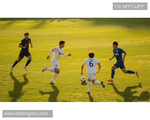 2020年FC首尔对阵蔚山现代精彩赛事回顾与分析 2020年FC首尔对阵蔚山现代精彩赛事回顾与分析