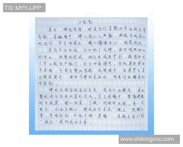 刘泽一的成长之路：从平凡少年到卓越领袖的蜕变与奋斗历程