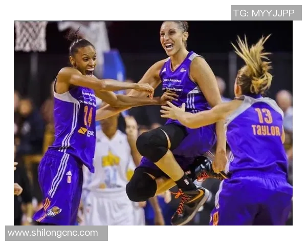 史鸿飞的传奇人生与奋斗历程探索与启示