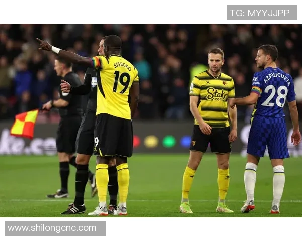 巴恩斯利与布伦特福德比赛前瞻及比分预测分析详解